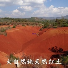 �t�����N�m���軨����t�����w�����ԠI�B���л��u���~��ճ��