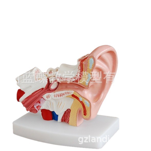 1.5���Ŵ������Ͷ�����ģ�������ڶ�������ϵͳ���ٶ��乹���ѧ