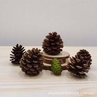 �S�����lһ�����ɹ��}�Q�b[��Ұ�������׃��@�ֹ�diy�����ɹ�