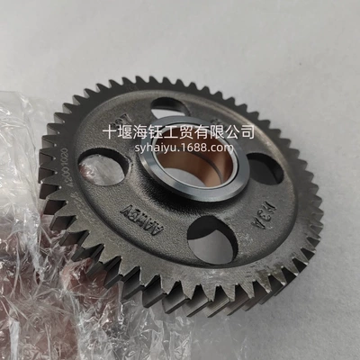 water pump gear – Flywheel/Gear