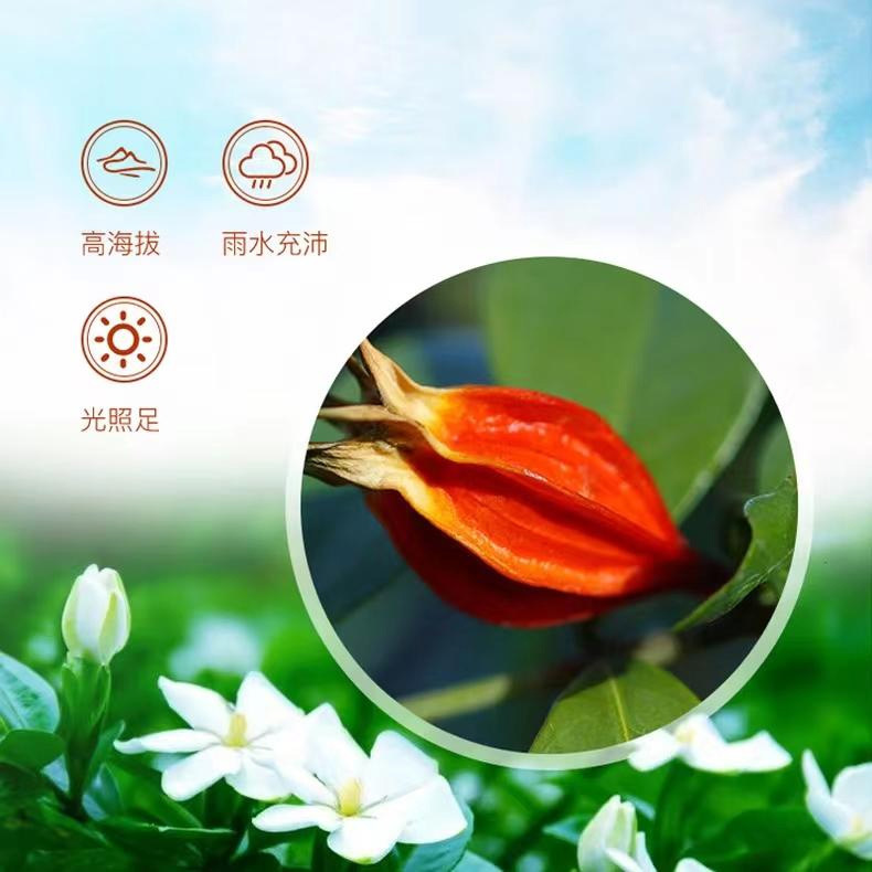 Dried Gardenia Fruit Zhi Zi 120g Jiangxi Mountain Gardenia for Herbal Tea and Soup quality and texture
