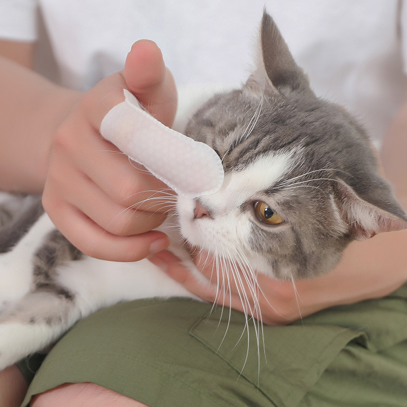 50錠のペットの清潔な歯の指のセットのウェットティッシュの猫の犬は結石に行って口臭を取り除いて口腔の息をきれいにします。|undefined