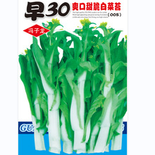 T߲˷N30ˬײ̦005@¶̨ͥԺ