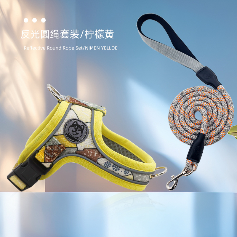 레몬 옐로우(로프 보내기)