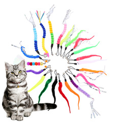 Caterpillar Replacement Heads for Cat Toys&mdash;Large Assortment&mdash;Self-Entertaining Toys for Cats&mdash;Pet Supplies&mdash;Factory Wholesale&mdash;Cross-Border