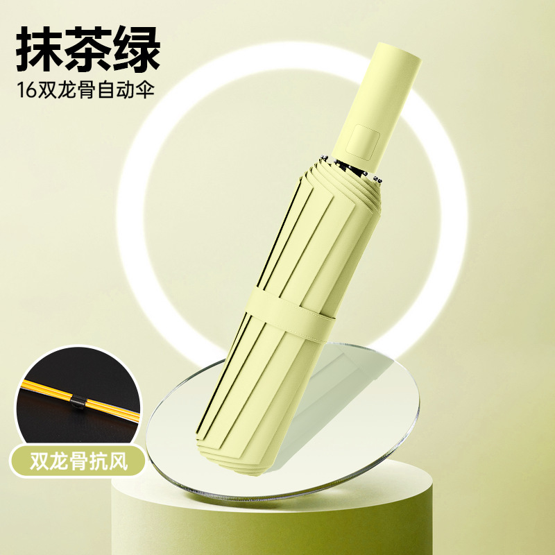 [16본 전자동 비 또는 빛]-말차 그린