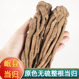 ���wƬ���w������؛���l���Cếh�o�򮔚w��֧����ă�