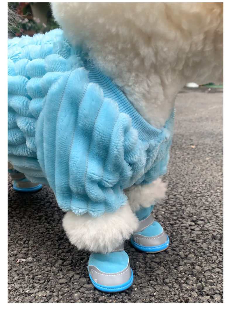 Pet Outfit 5