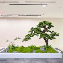 仿真黑松假树罗汉松新中式室内造景绿植景观橱窗楼梯造景迎客松
