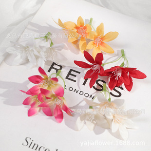 �羳¶ˮ�ٺϷ��滨diy���ϰ����^�^��h�����b�����ٻ����l