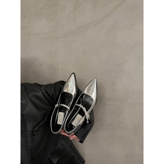 French thick heel Mary Jane shoes spring and autumn women's shoes 2025 new explosions pointed small leather shoes evening silver shoes