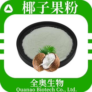 椰子果粉椰子汁粉椰汁粉椰浆粉固体饮料代餐粉SC全奥生物资质齐全