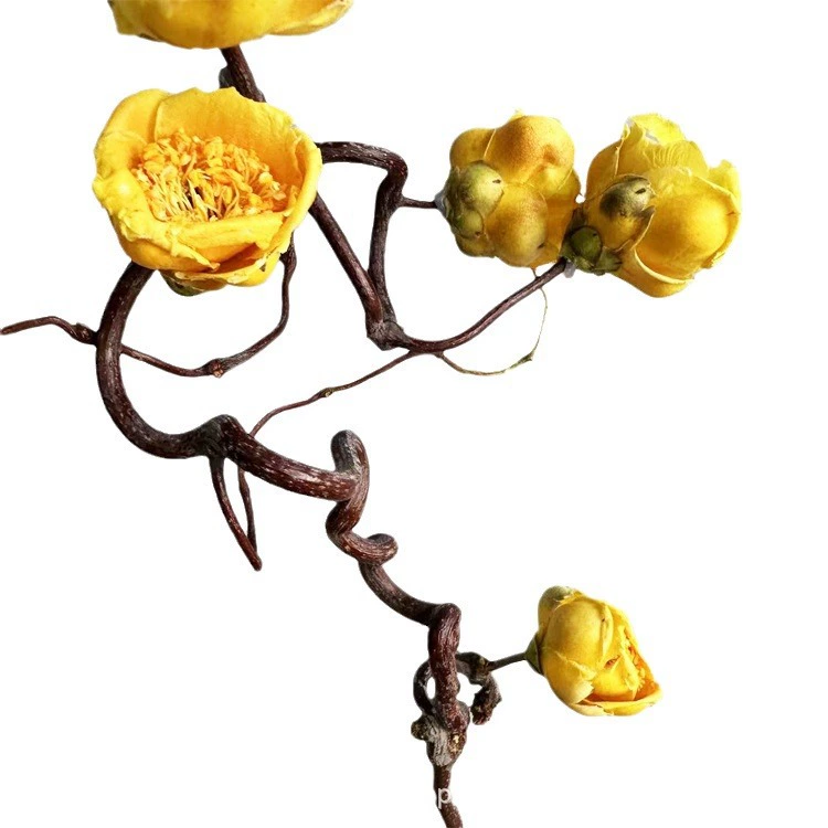 Сушёные ветки аралии, засушенные цветы, засушенные цветы wintersweet, домашняя свадьба украшение, композиции из цветов, реквизит для фотосъёмок, продажа напрямую с фабрики