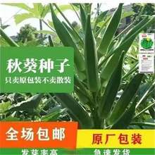 S߲˷NӼtNѴﲥN߮a͟ͺ̨ԴN