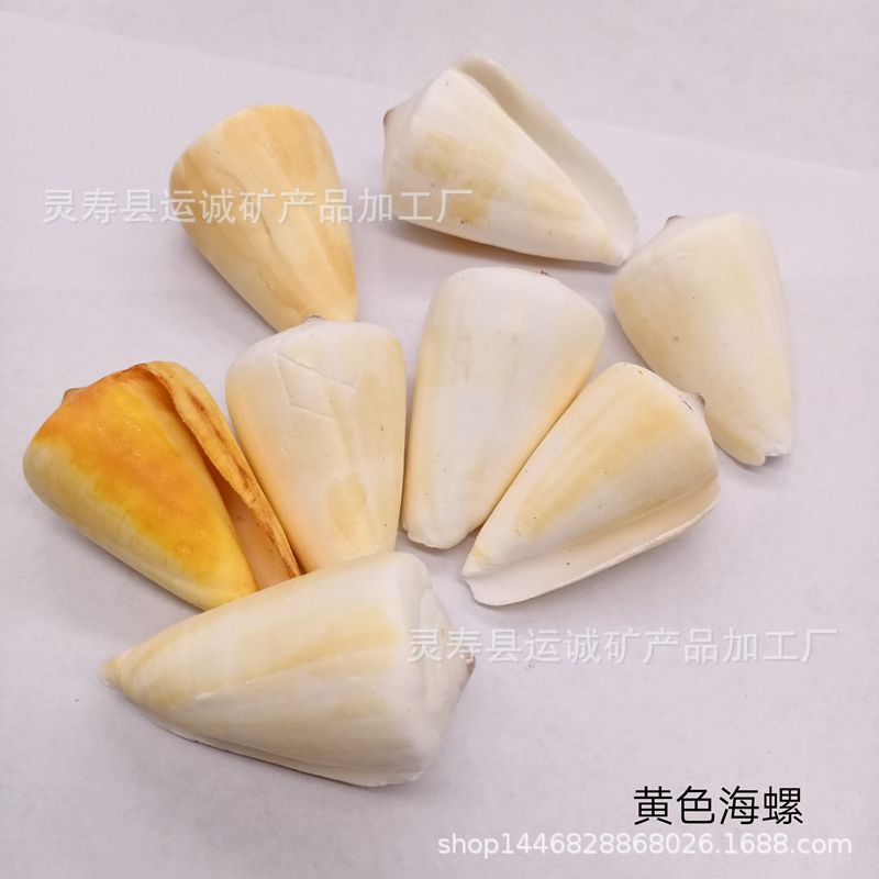 IMG_20210903_141018_副本