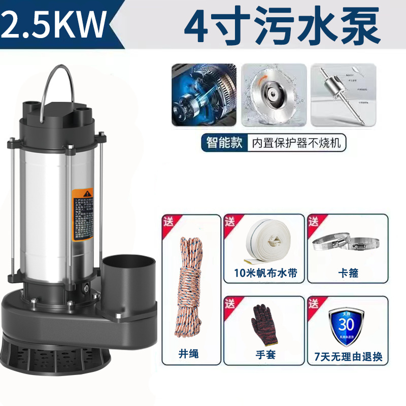 Pequeña bomba de agua agrícola bomba de corte bomba de aguas residuales bomba sumergible doméstica bomba de alta elevación 220V bomba de riego