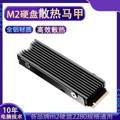 M2 ソリッド ステート ドライブ ヒートシンク M.2 2280SSD 熱伝導性シリコン ディスク アーマー PS5 拡張ヒートシンク