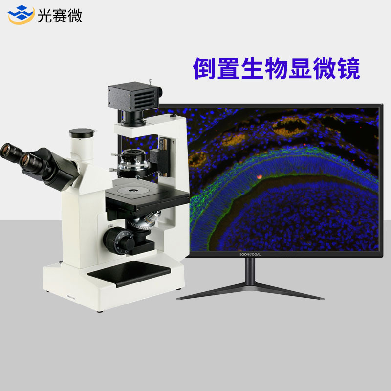 高清倒置生物显微镜  超高清晰活体细胞观测显微镜深圳显微镜
