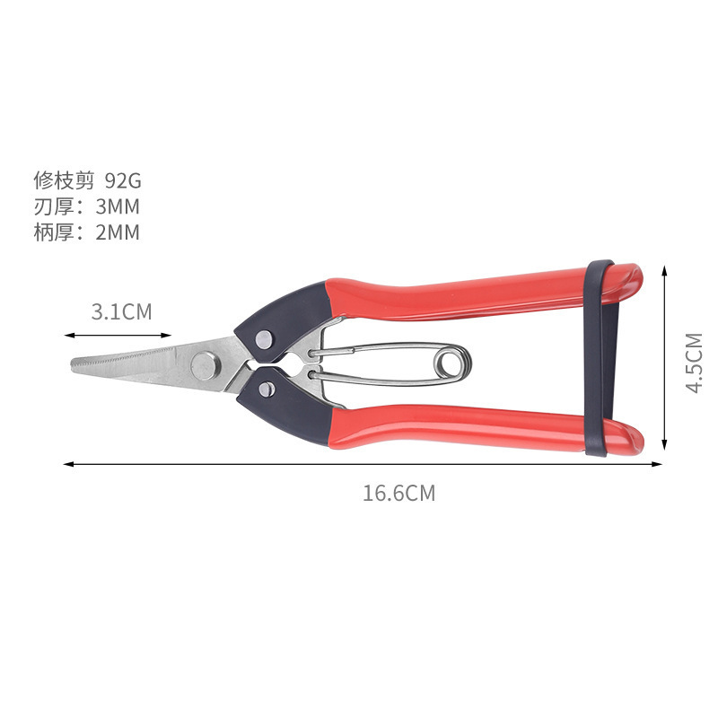 빨간색 작은