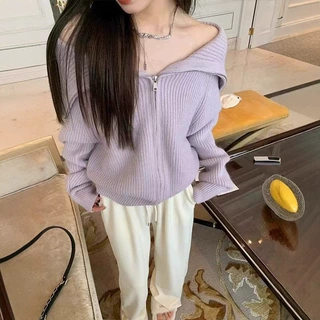 毛衣外套女100纯羊毛衫设计感减龄秋冬新款韩系大翻领宽松针织衫