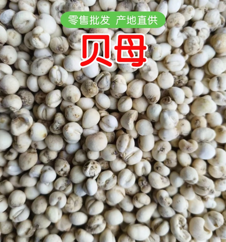 Dried Fritillaria Bulb Bei Mu 500g Bagged Herbal Decoction Pieces overview