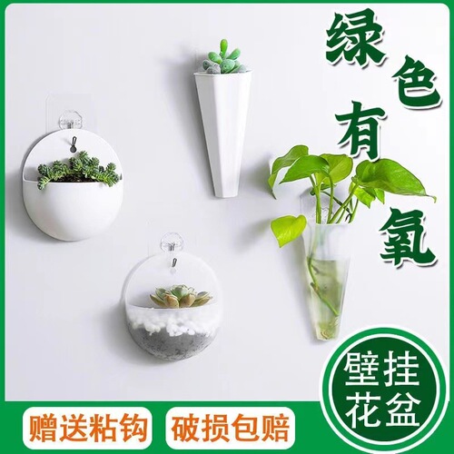 Wholesale plastic wall-mounted lazy pothos flowerpot with hook, wall-mounted hydroponics hanging semi-circular vase