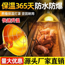 狗狗保暖灯母猪产床猪场保温灯罩养殖鸡鸭鹅取暖灯猪用仔猪加热灯