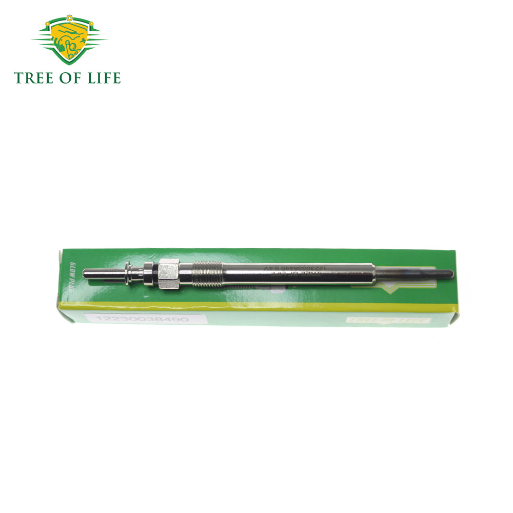 12230038490,0250403020,0100266050 is suitable for BMW preheating plugs