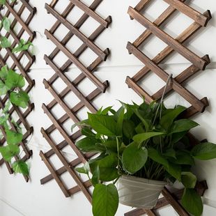 Carbonized anticorrosive wood netting telescopic grid wall flower stand climbing vine flower stand anticorrosive wood fence wood fence spring melting