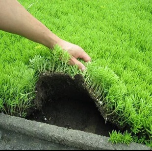 ���~��ײ���픾G��ͥԺ��ƺ�ͺ��ͺ��ļ����G���~��ײ���