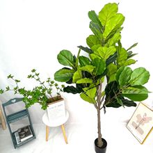 ֱ�N����ֲ������ ���~�żپGֲ�����辰�҃���ؔ[���Ҿ��b�