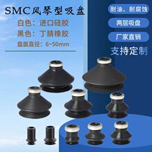 �Cе�����SMC�L�����P ZP-6/8/10/13/16/25/32/40/50BS �M�ڹ��z