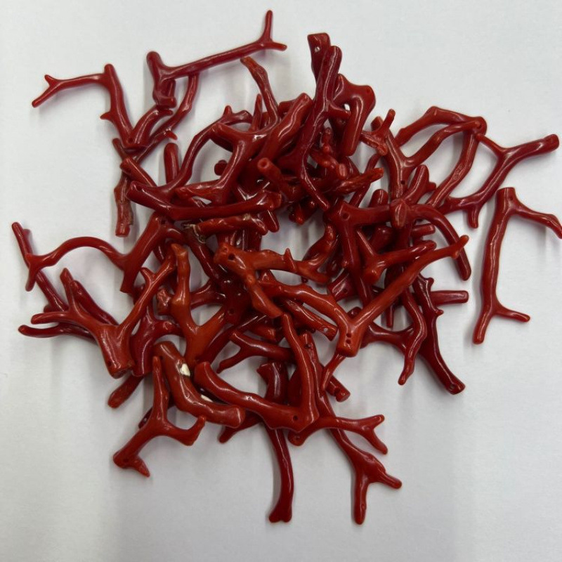 바다 대나무 작은 지점 YA 특수 모양의 펜던트 액세서리 반제품 보석 장식 액세서리 핫 스타일