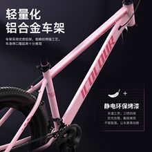 ICOLOURɽ��܇�p�����X�Ͻ�܇����������Ů��W��У�@ԽҰ����܇