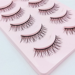 Dai Fei Yan N05 Black Stick False Eyelashes Daily Fresh Natural Cross-Grained Sharpened Eyelashes 5 Pairs Set Wholesale