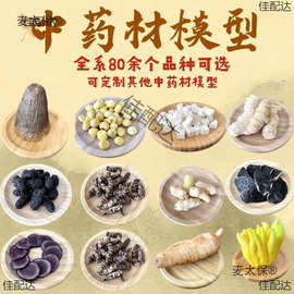 科普教具材标本道具人参石斛装饰茯苓灵芝陈列品标本模型麦