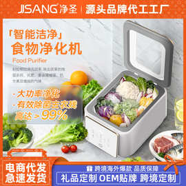 新款厨房小家电 果蔬净化器 台式家用食材多功能清洗机除菌去农残