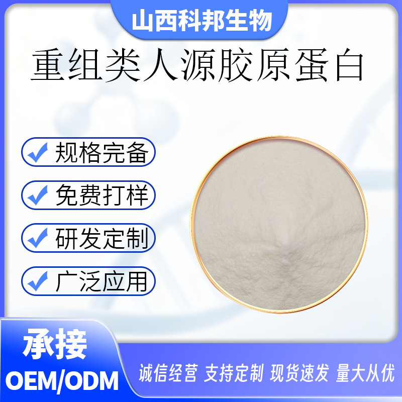 Recombinant Human-Like Collagen-Bss-55Kd Type Iii Human-Like Collagen 1G/Bag Cosmetic Grade in Stock