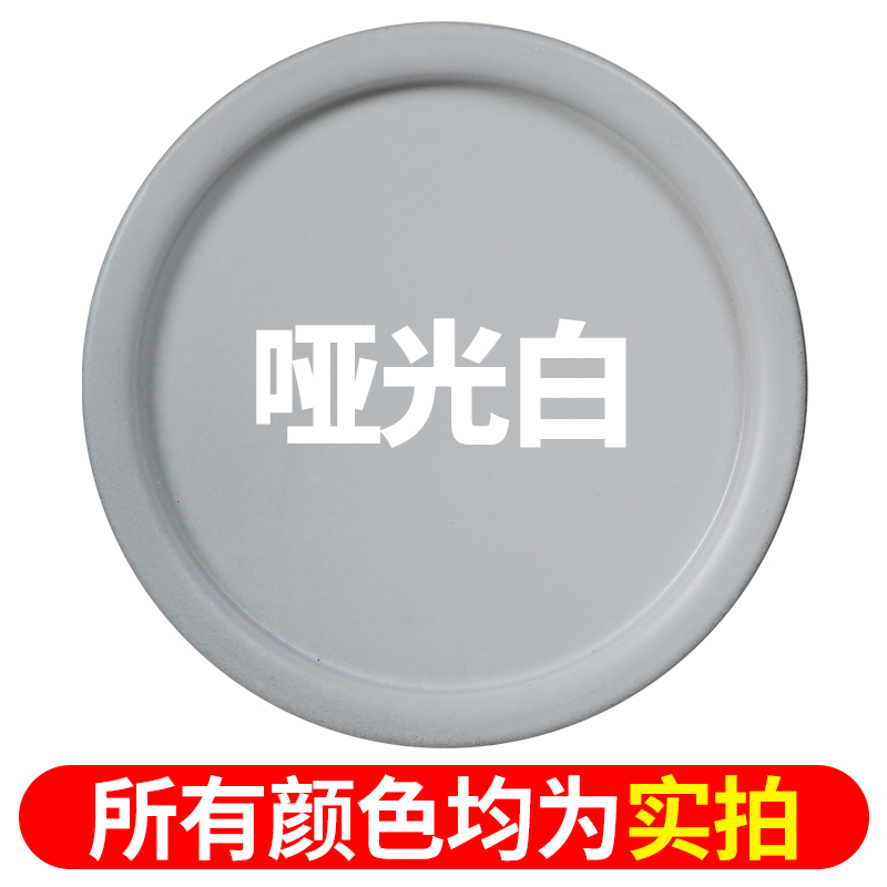 Anti-Rust Plastic Paint | Qìchē - matte-white-450ml-80g-extra-weight