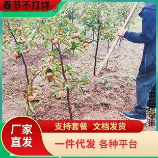 һ�����l���Ә�����ϱ���ͥԺ����Դ���ĥ�P�����䮔��Y���޽�