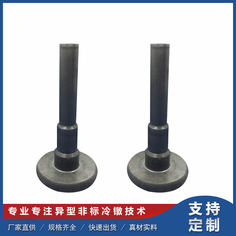 温州冷镦加工 厂家供应冷镦产品加工 镦挤法 非标螺丝直销批发