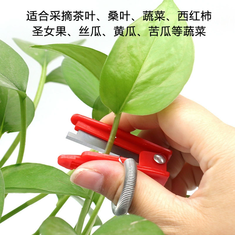 Нож для сбора фруктов и овощей