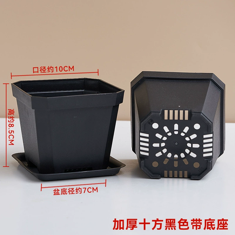 Горячие продажи водопроницаемая осьокорова Escargot Pot Pot Pot Плохой блюдо пластик пластик пластик пластик пласт пластинки Вставка Рули Пот Низкий