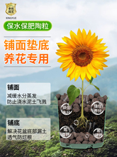 ✅陶粒垫底养花营养土多肉盆栽铺面石水培轻质粒防烂根透气陶