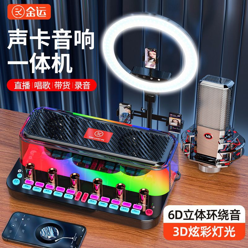 Jin Yun C18 Sound Card Audio Integrated Mobile Phone Computer Outdoor Bluetooth Recording K Song Eating and Broadcasting Live Equipment Complete Set