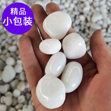 白色鹅卵石养花郁金香水培石头抛光白石子雨花石鱼缸造景天然石春