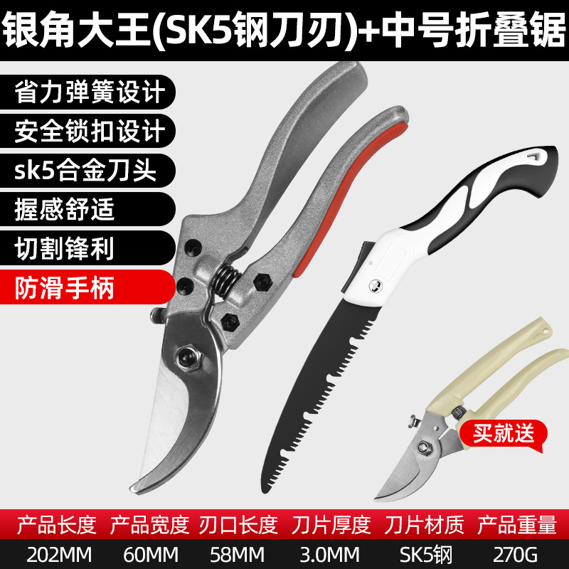 업그레이드된 [미끄럼 방지 손잡이] 은뿔왕 + 곡선 입 가위 + 톱