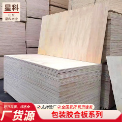 メーカー卸売合板多層ボードワンタイム成形マルチサイズヤシウッド基板多層ボードフルヤシウッド合板