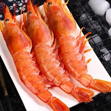 ����͢�t�rL1��t�r���r������rˮ�a�������r4���������l���]