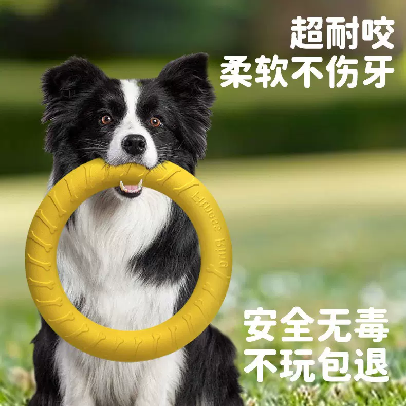 跨境宠物爆品狗狗飞盘玩具耐咬磨牙解闷神器拉环边牧大型犬狗玩具